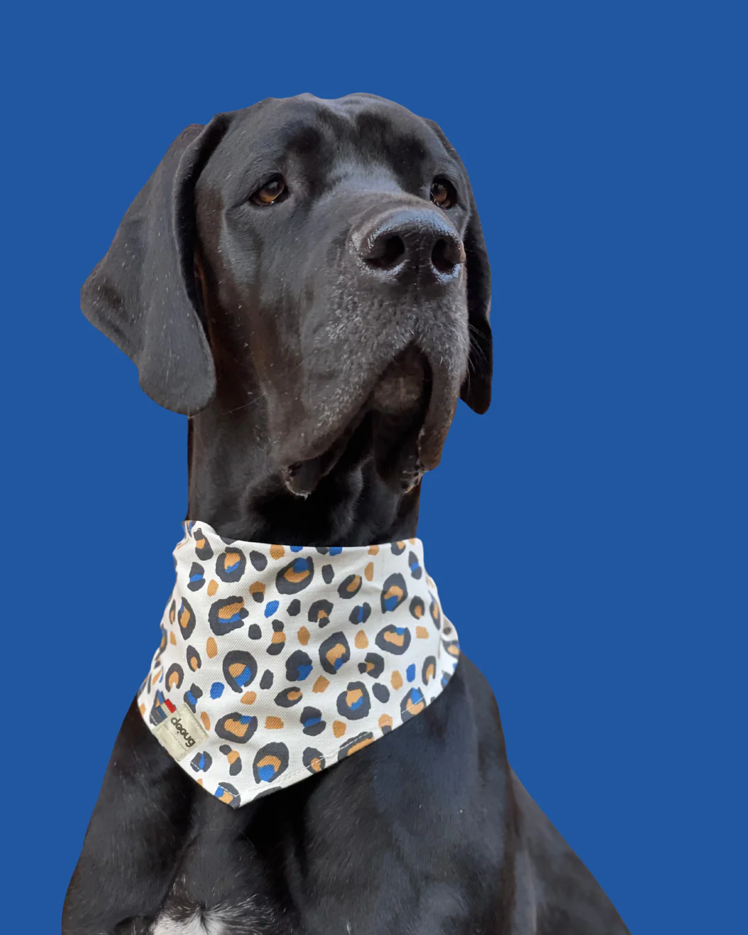Bandana pour chien personnalisable LEOPARD BLEU – Image 4