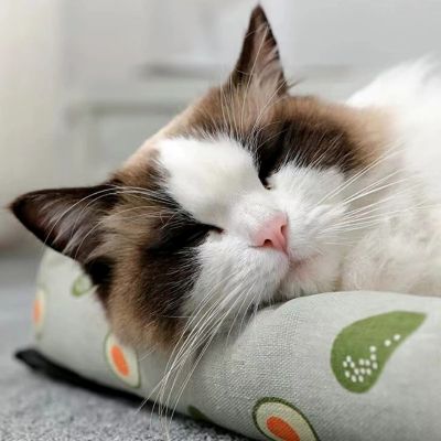 Coussin Chat | RELAX FRAICHEUR – Image 4