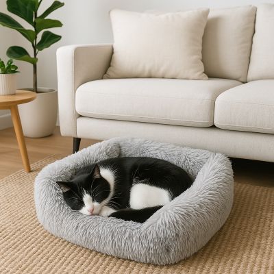Coussin Chat | ZONE CONFORT – Image 3
