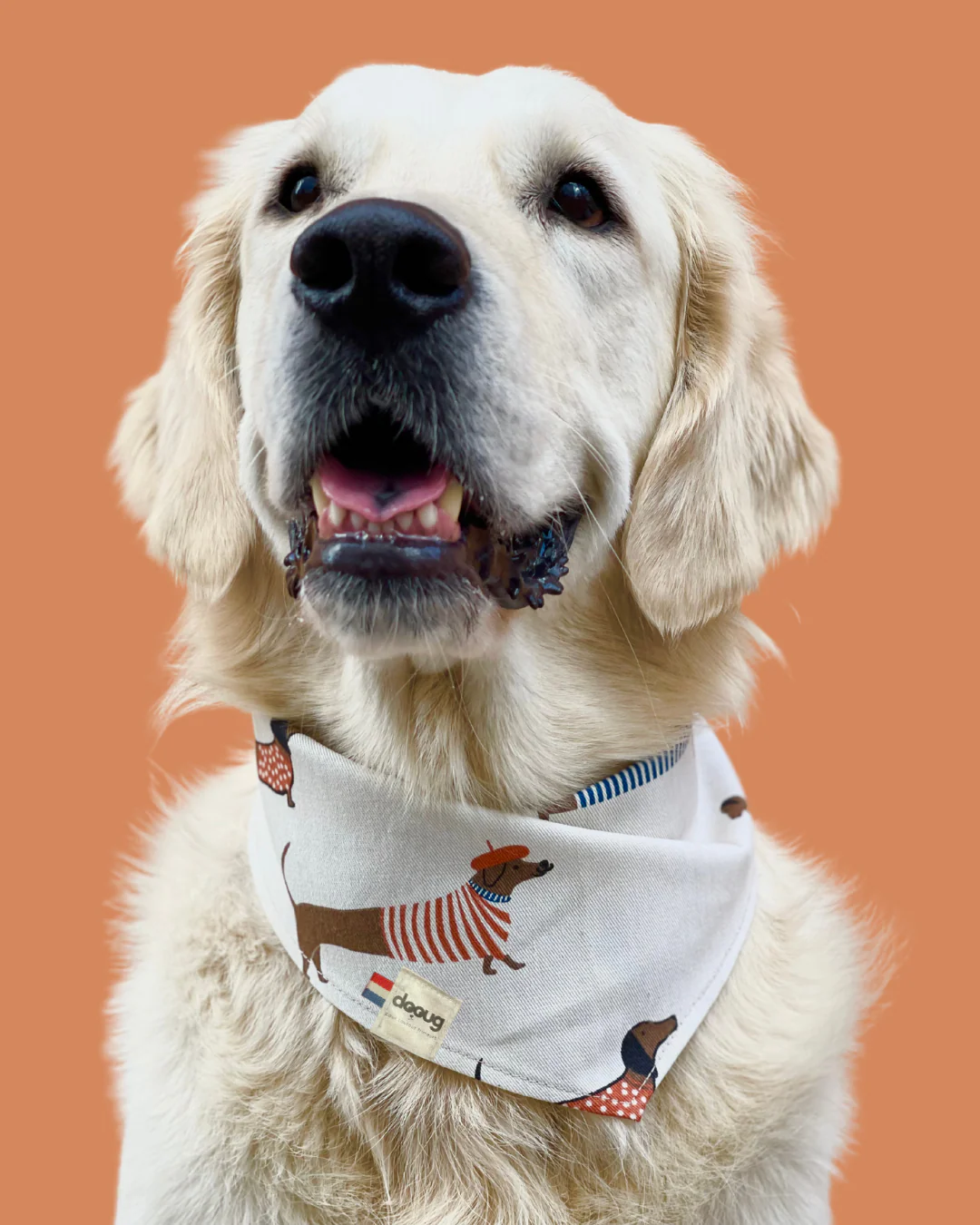 Bandana pour chien BANDANA TECKELS – Image 2