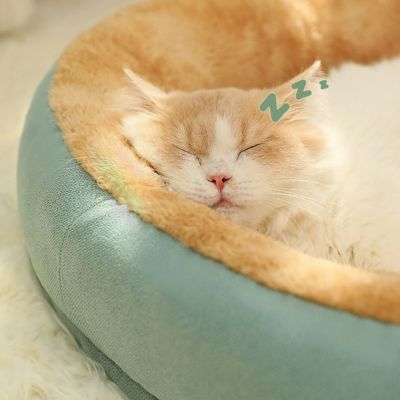 Panier chat | OVALE – Image 2