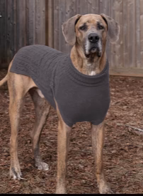 Shedrow K9 - Brentwood - Gilet - Maille Torsadée Plus - Gris – Image 2
